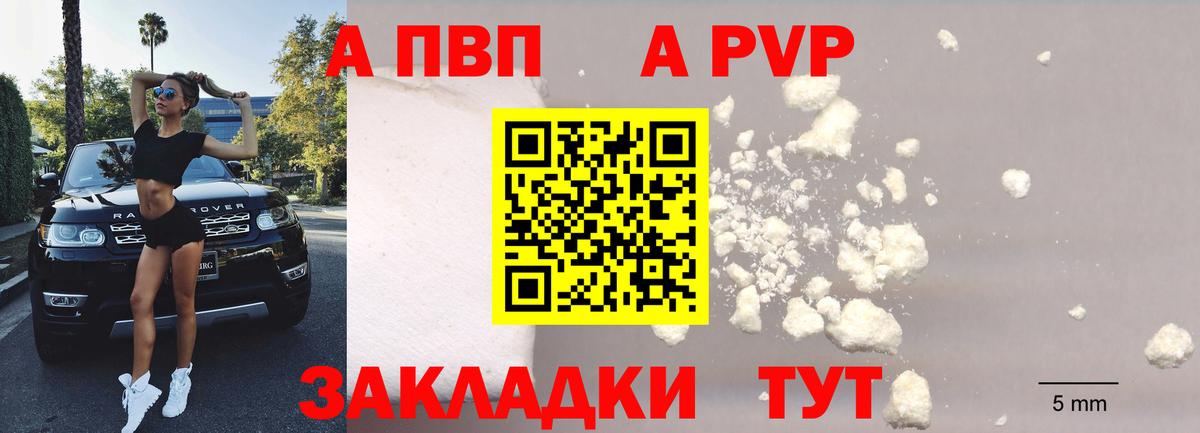 Alfa_PVP СК КРИС  А ПВП крисы CK  Вход с VPN  A-PVP крисы CK  Ростов-на-Дону 