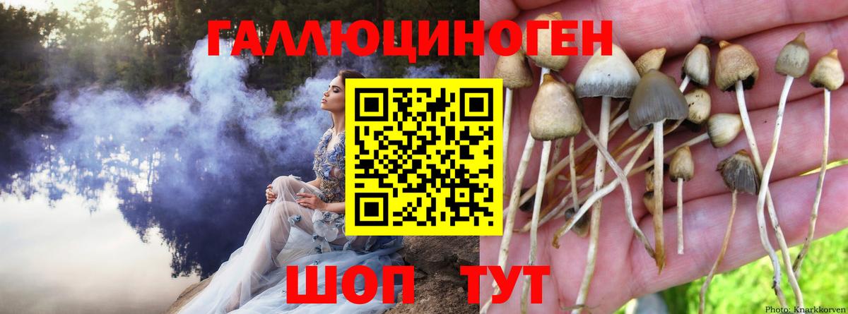 Галлюциногенные грибы ЛСД  Вход с VPN  Ростов-на-Дону 