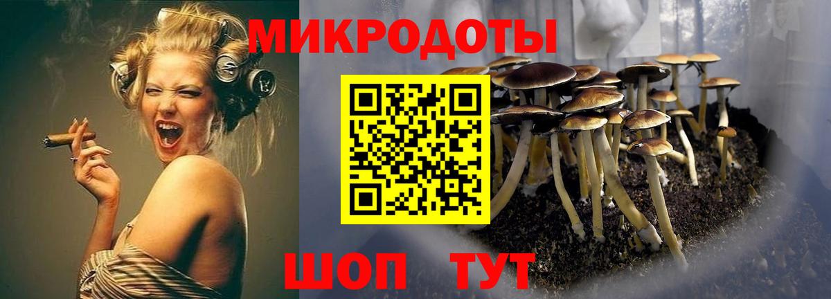 Галлюциногенные грибы GOLDEN TEACHER Ростов-на-Дону