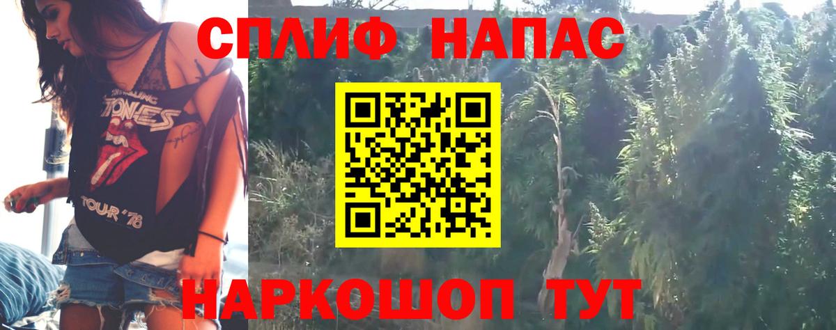 Бошки Шишки планчик  Вход с VPN  Конопля Bruce Banner  Ростов-на-Дону  Бошки Шишки OG Kush 
